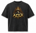 Apex Aroar Oversized faded t-shirt