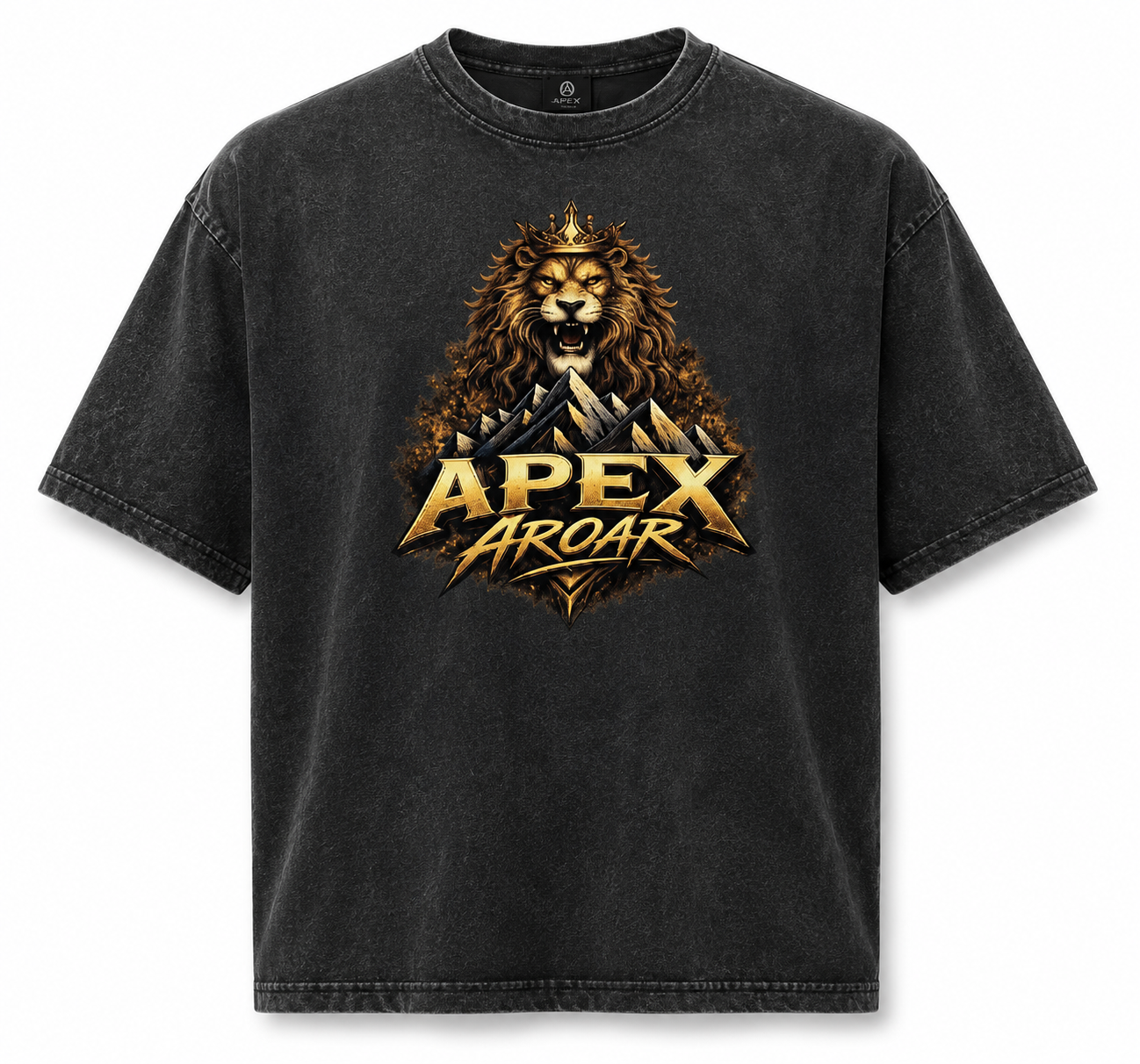 Apex Aroar Oversized faded t-shirt