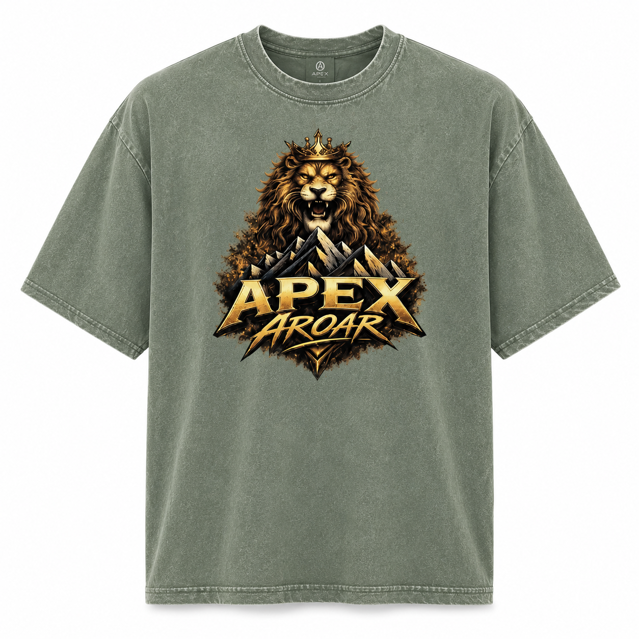 Apex Aroar Oversized faded t-shirt