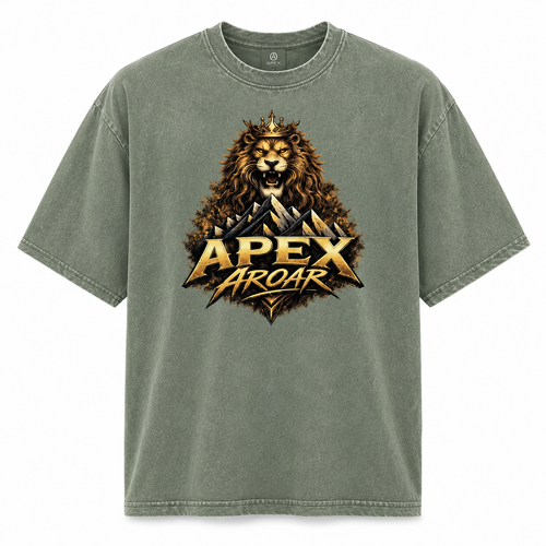 Apex Aroar Oversized faded t-shirt